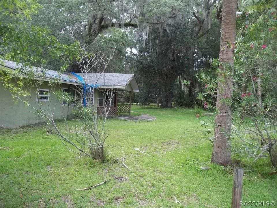 a view of a backyard with a tree