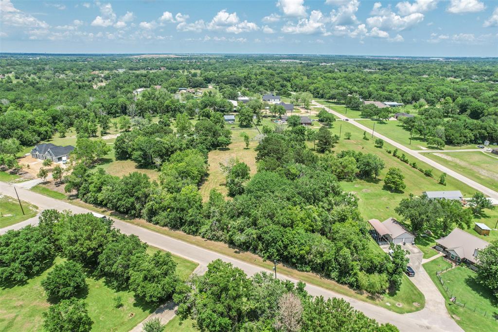 a view of a green yard with large trees