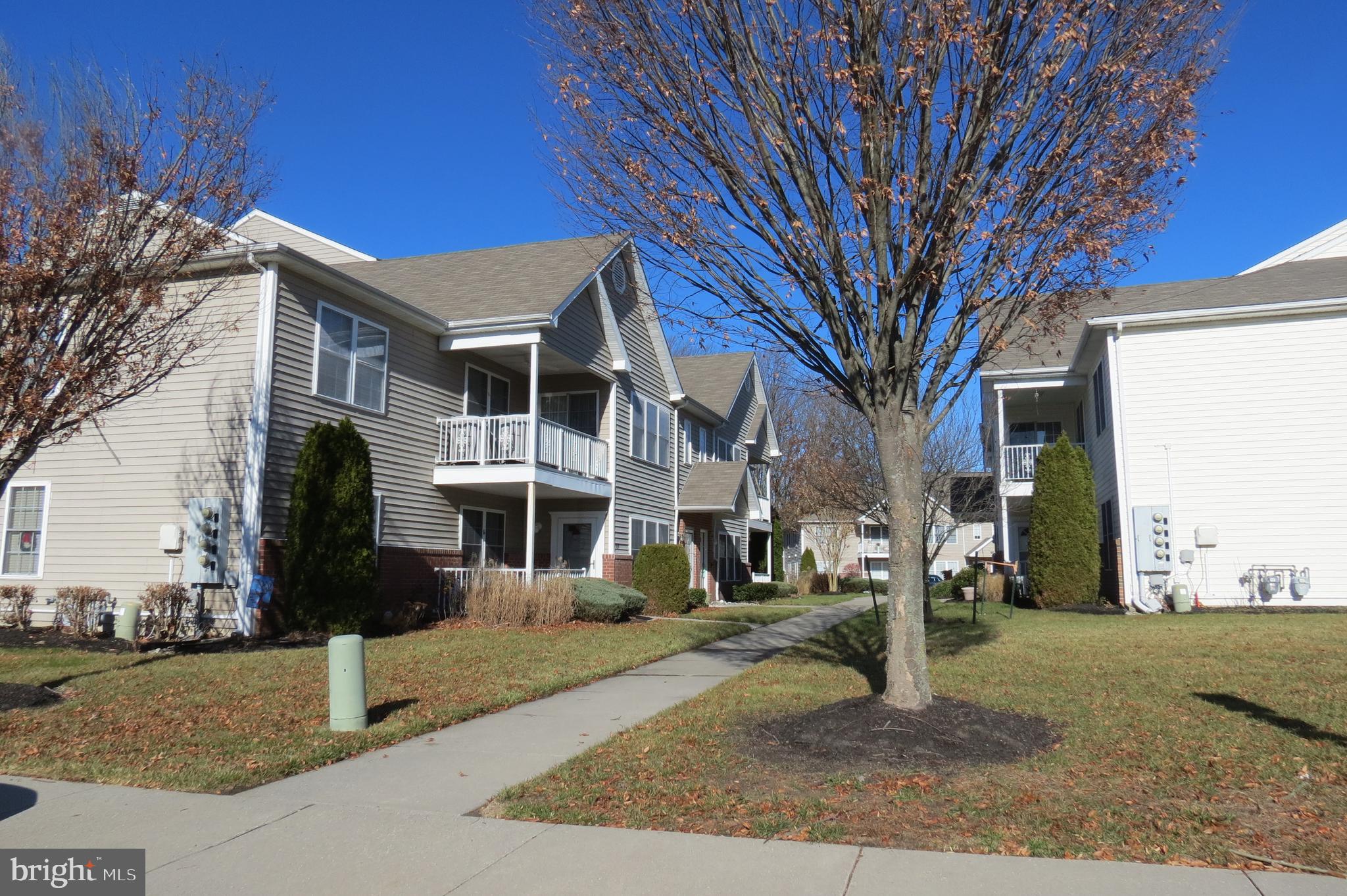 a front view of a house with a tree