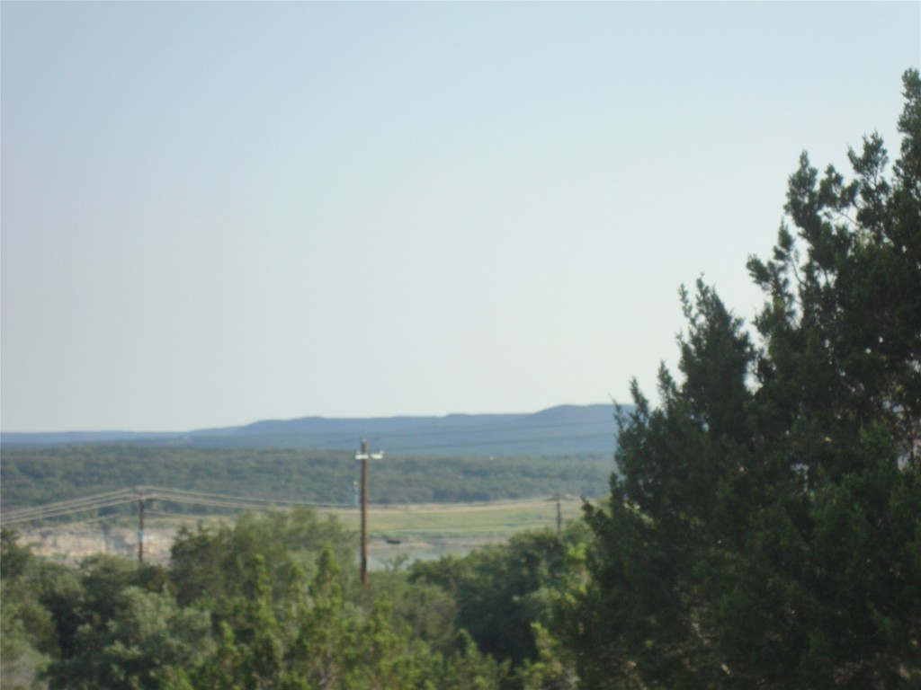 a view of a lake in middle of forest