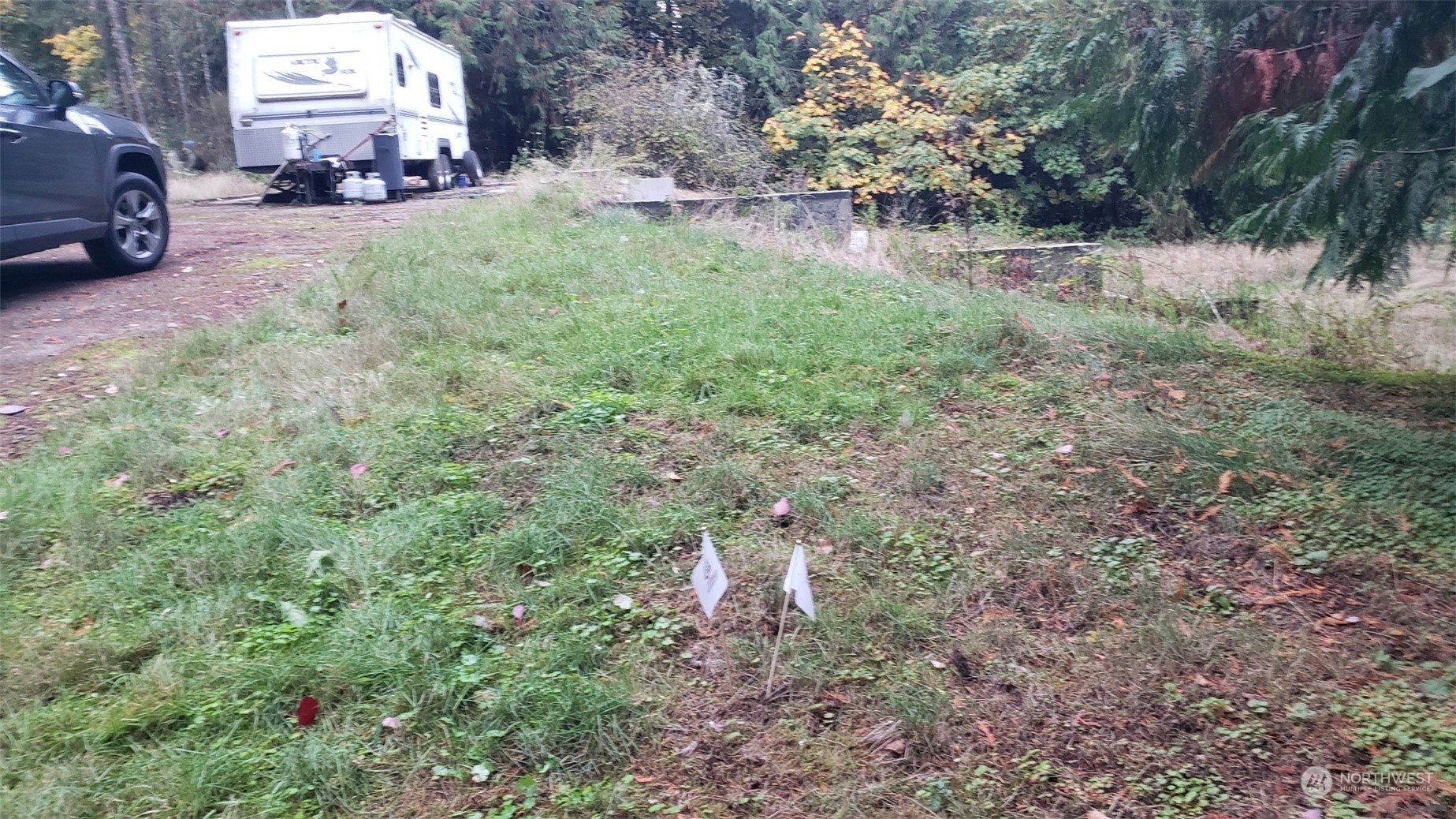 a view of outdoor space and yard