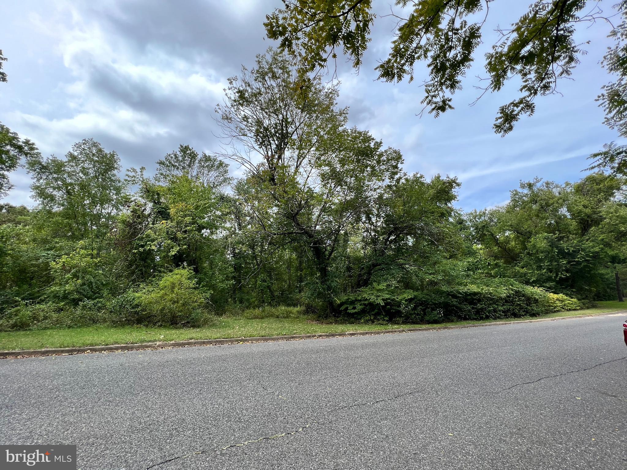 a view of a field with plants and trees