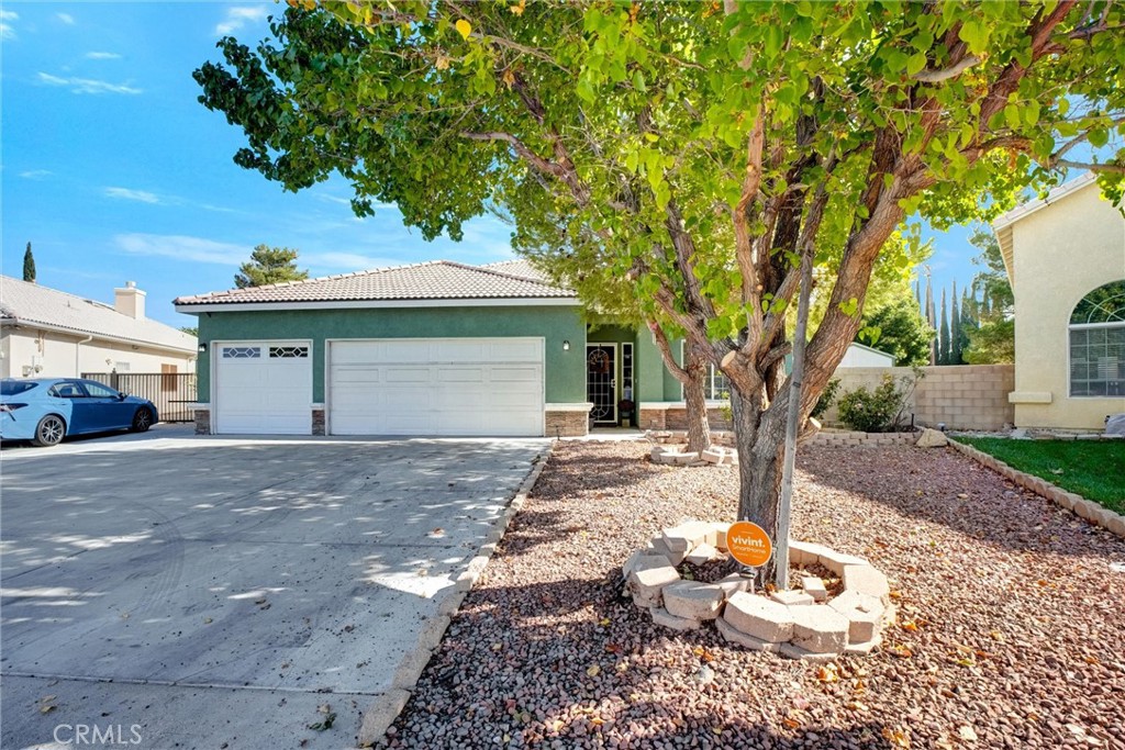 a front view of a house with a yard and a large tree