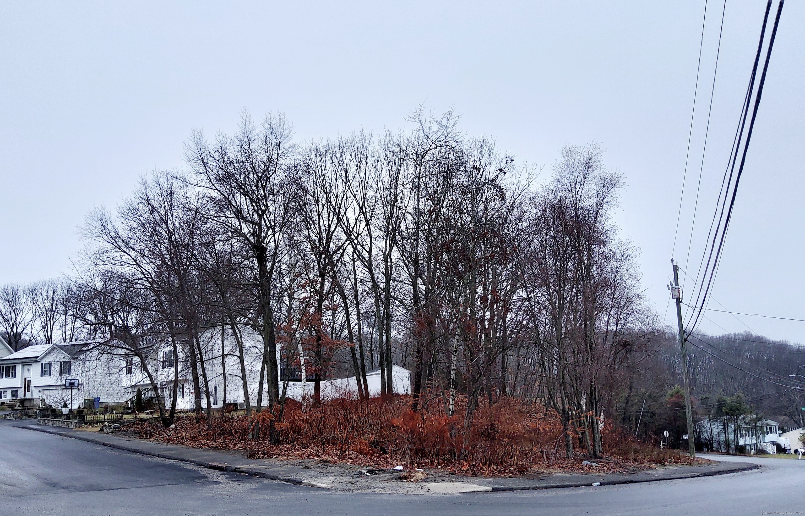 a view of a yard with a tree