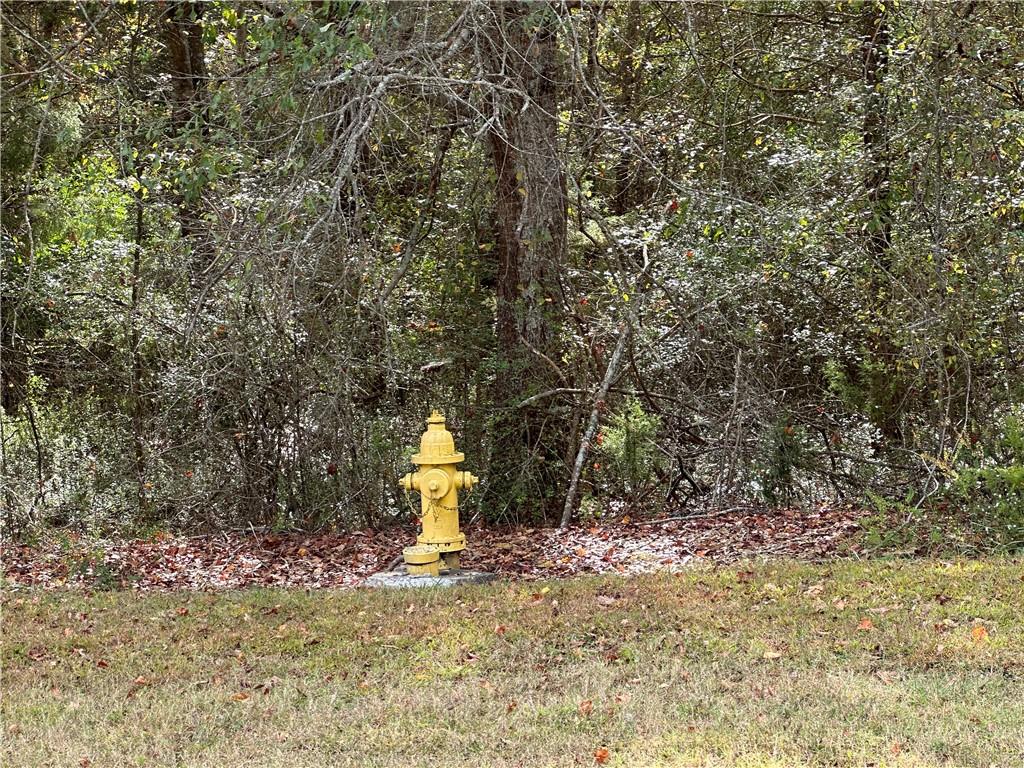 a view of a yard with a tree