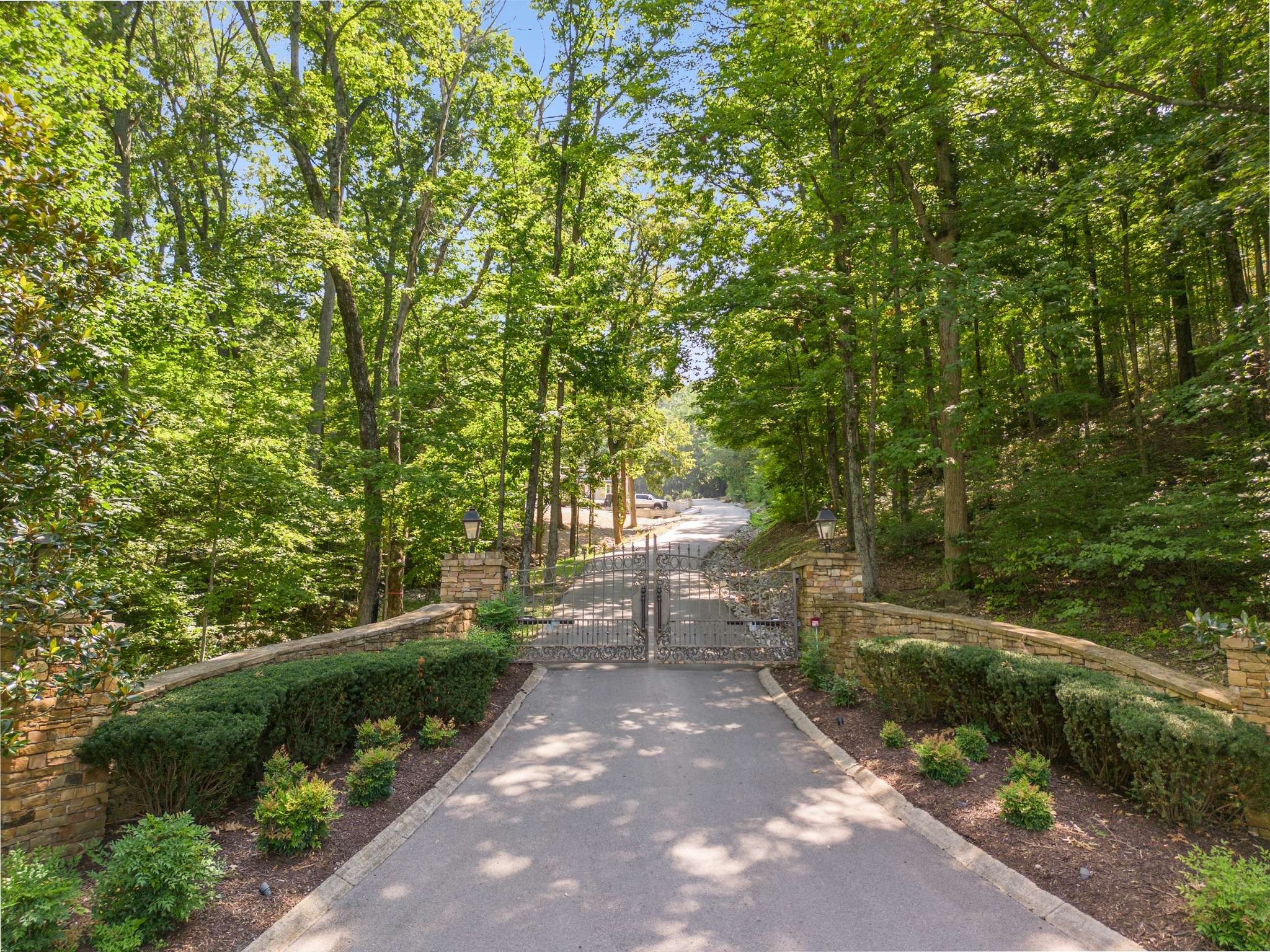 a view of a street with a trees