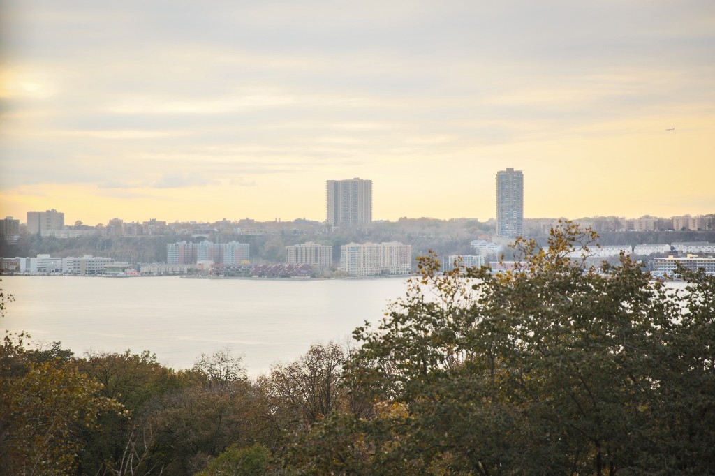 a view of a city with a lake