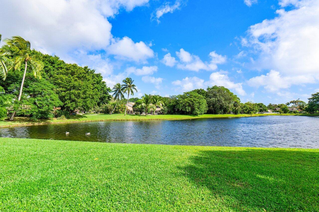 a view of lake