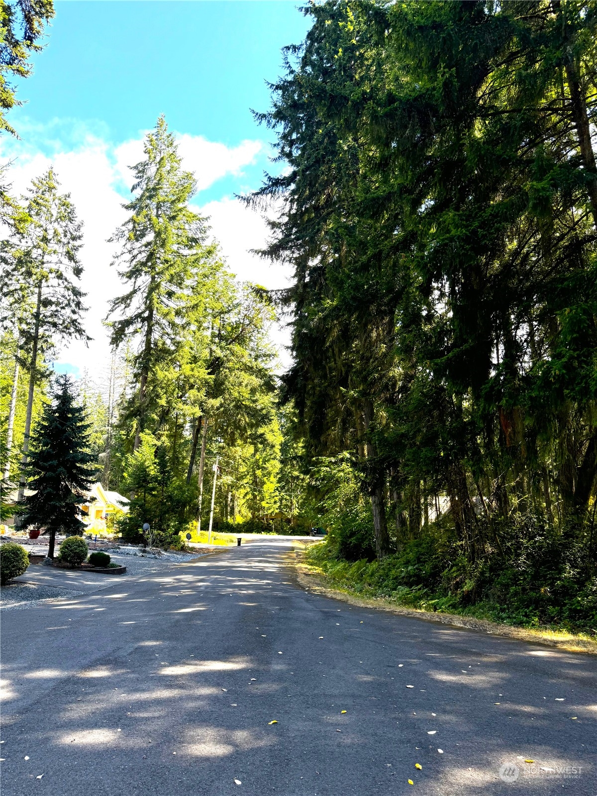 a view of road and trees