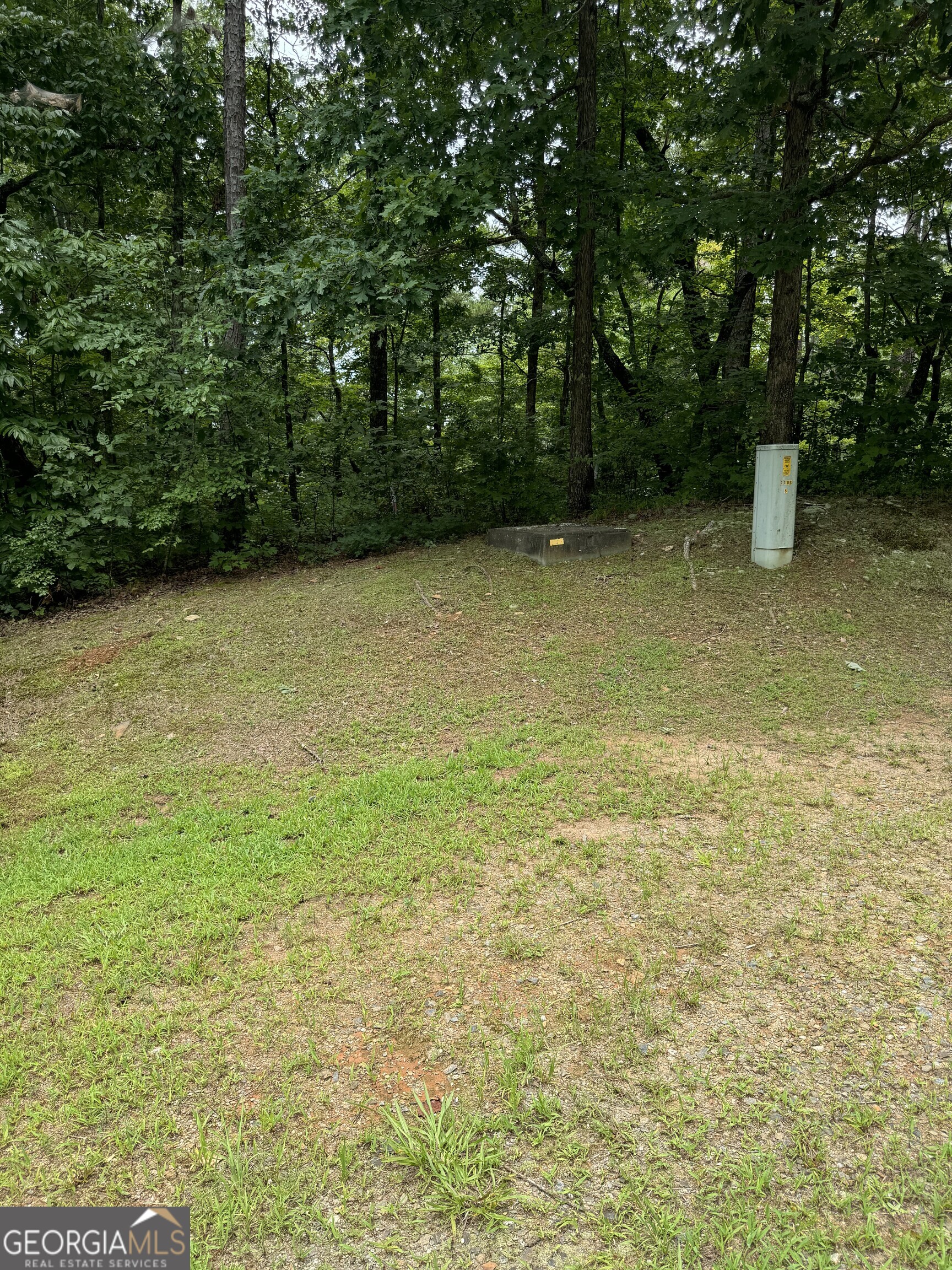 a view of outdoor space with deck and yard