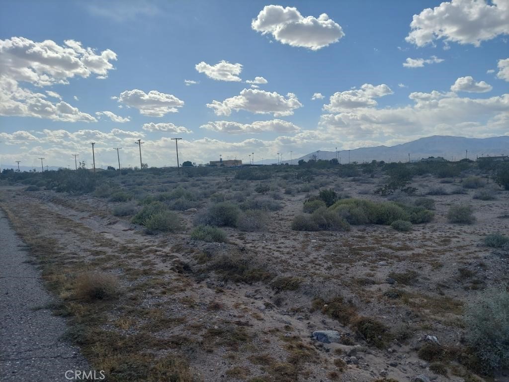 a view of a dry yard