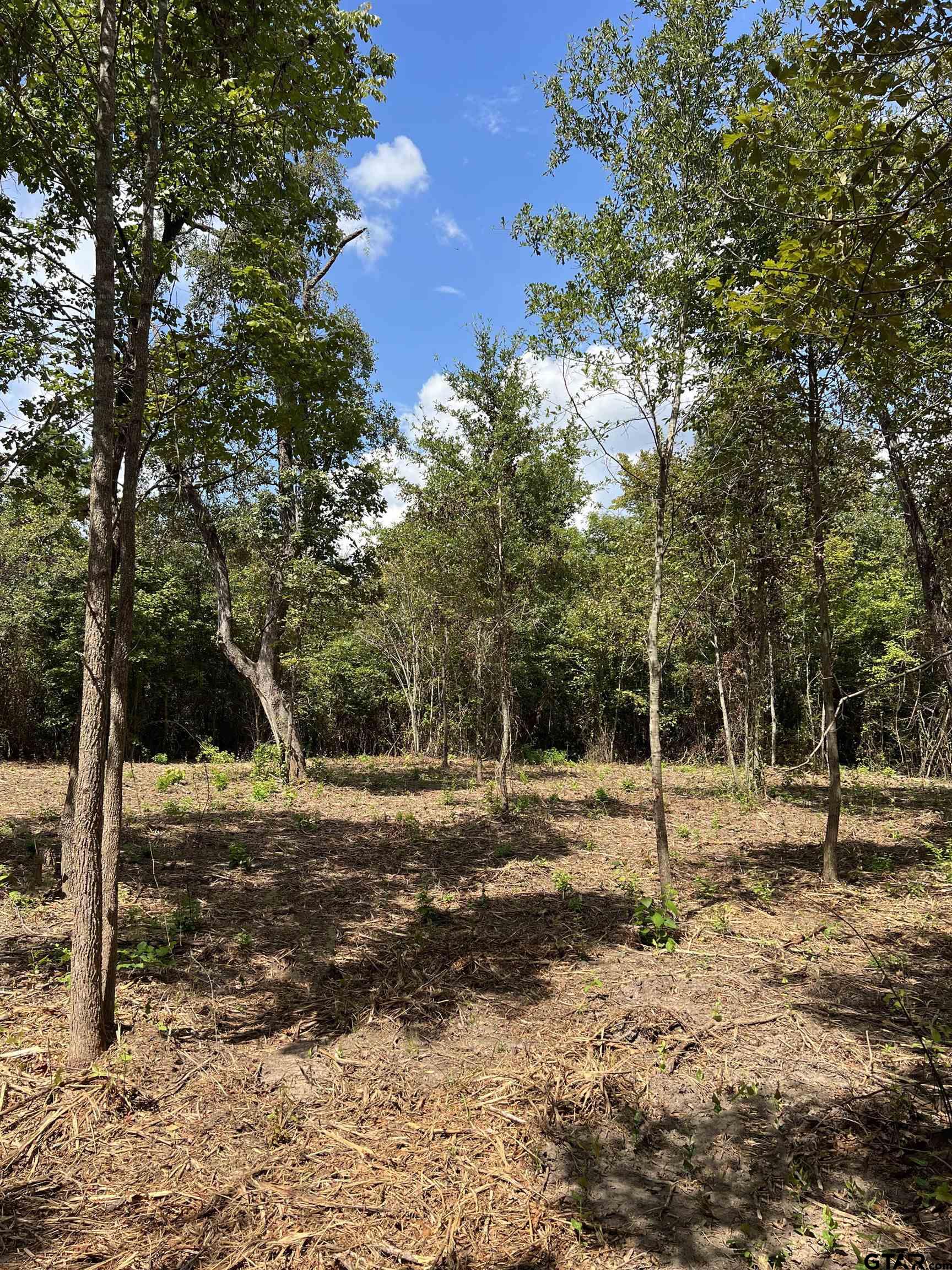 a backyard of a house with lots of trees