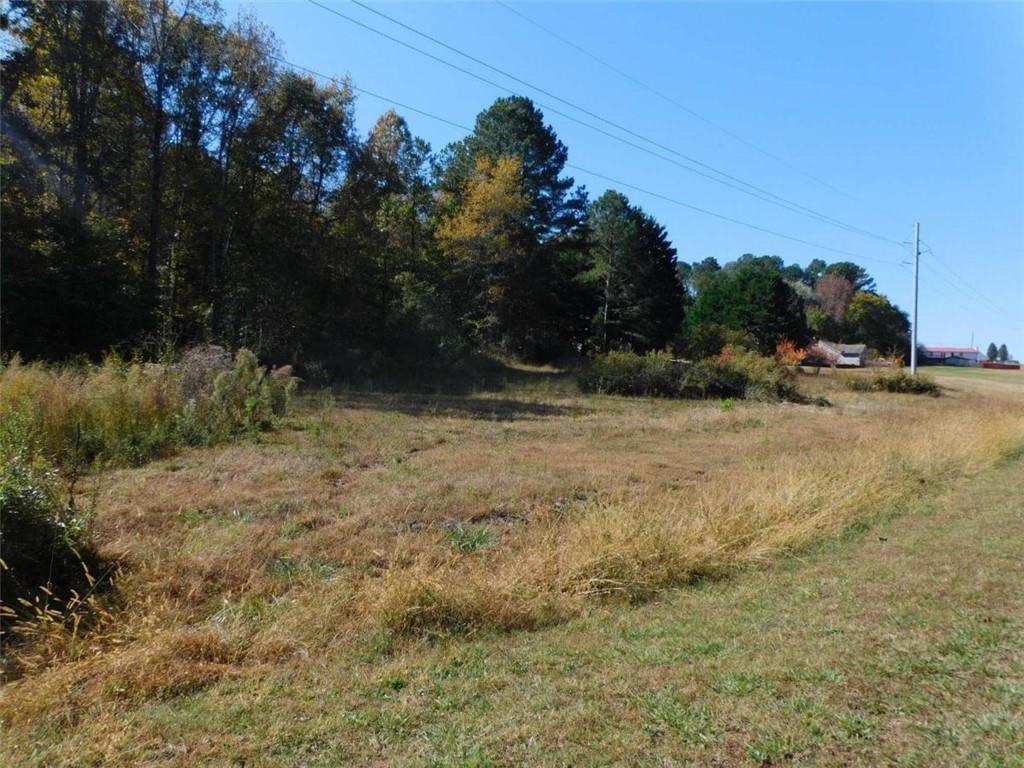 a view of a yard with a tree