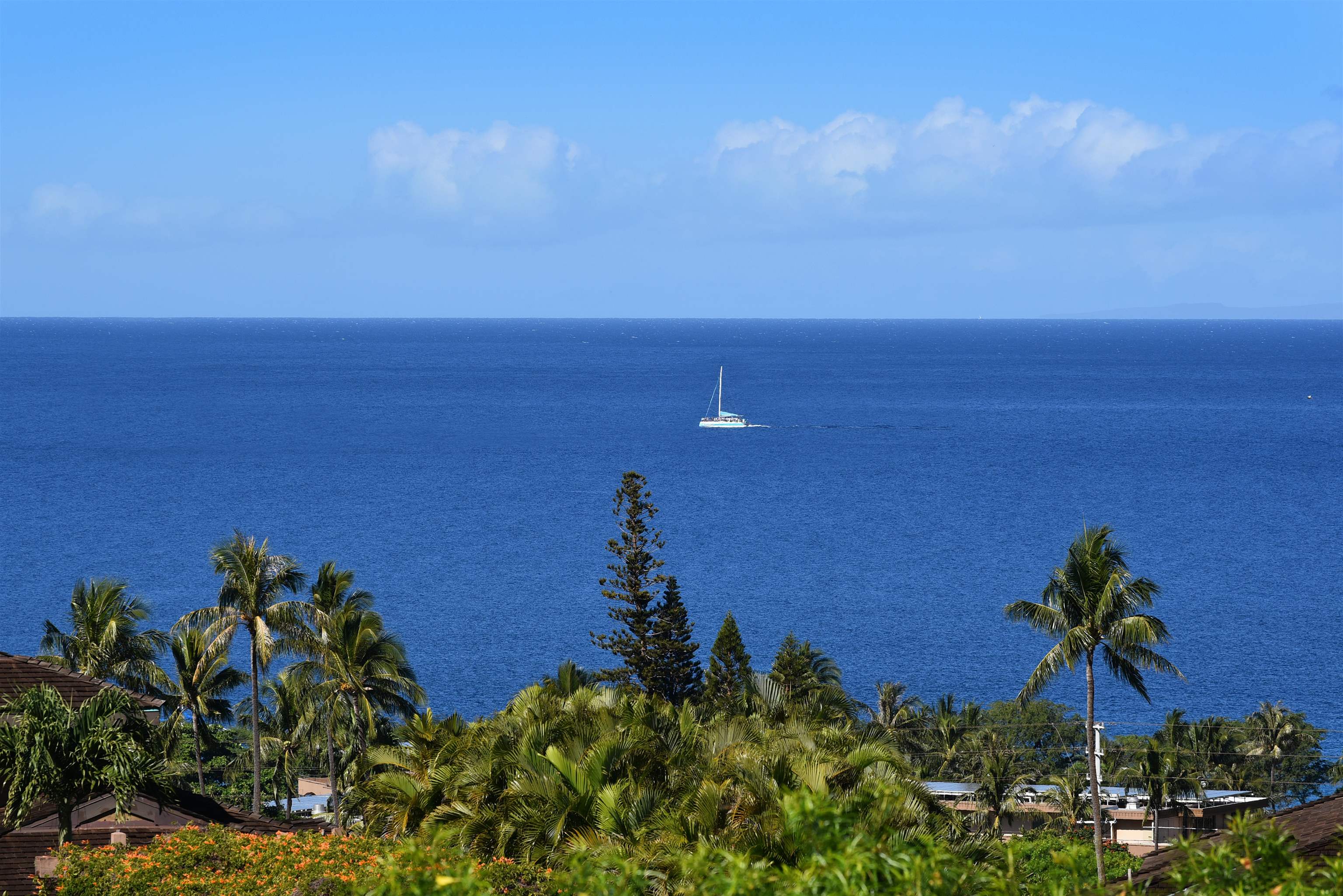 an aerial view of beach and ocean view