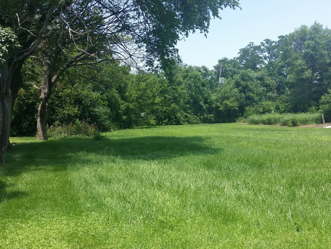 a view of a grassy field with trees