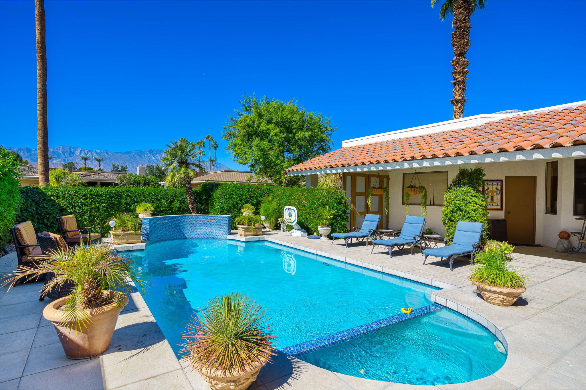 a view of a backyard with plants and patio