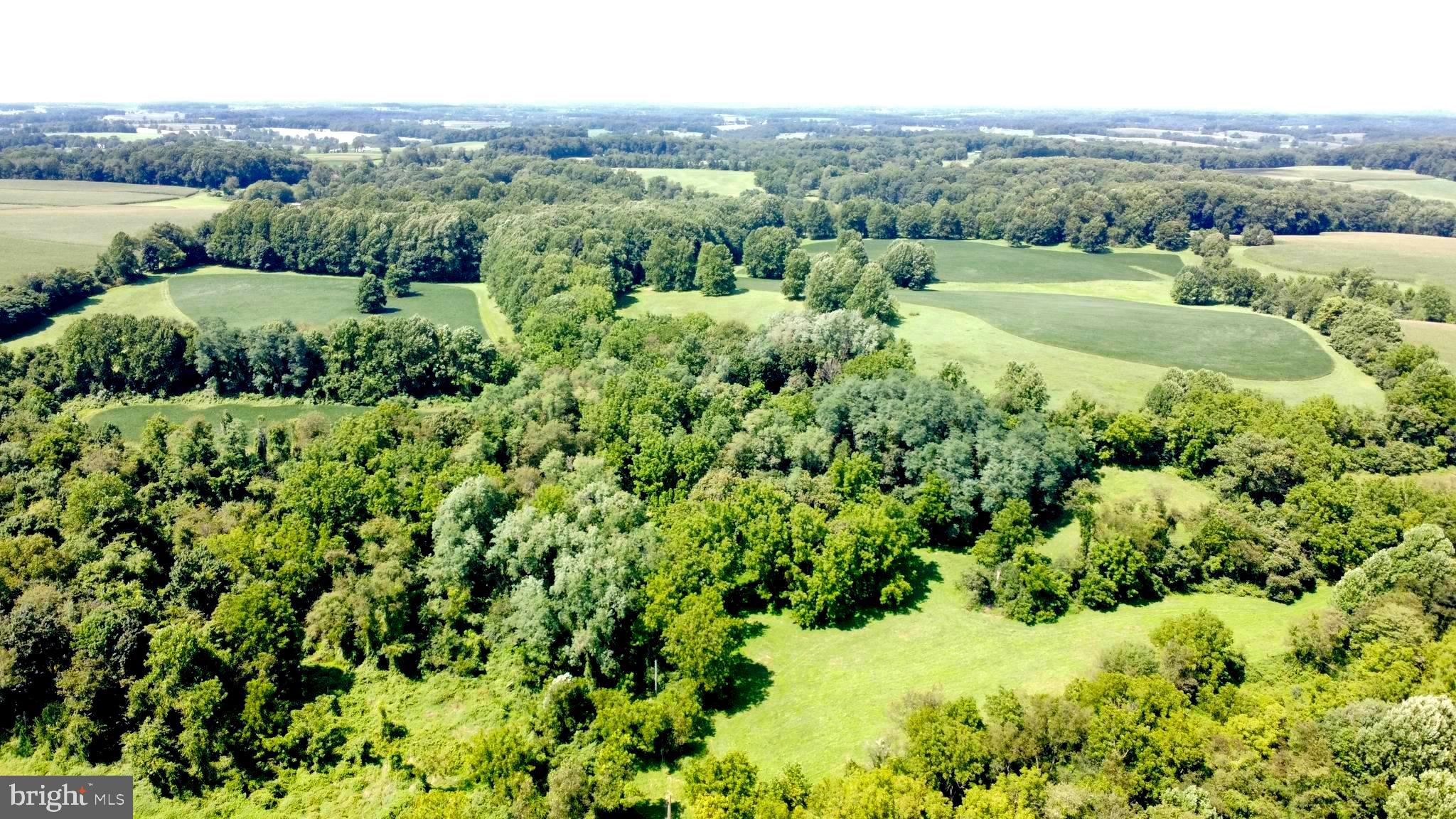 an aerial view of green landscape with trees houses and mountain view