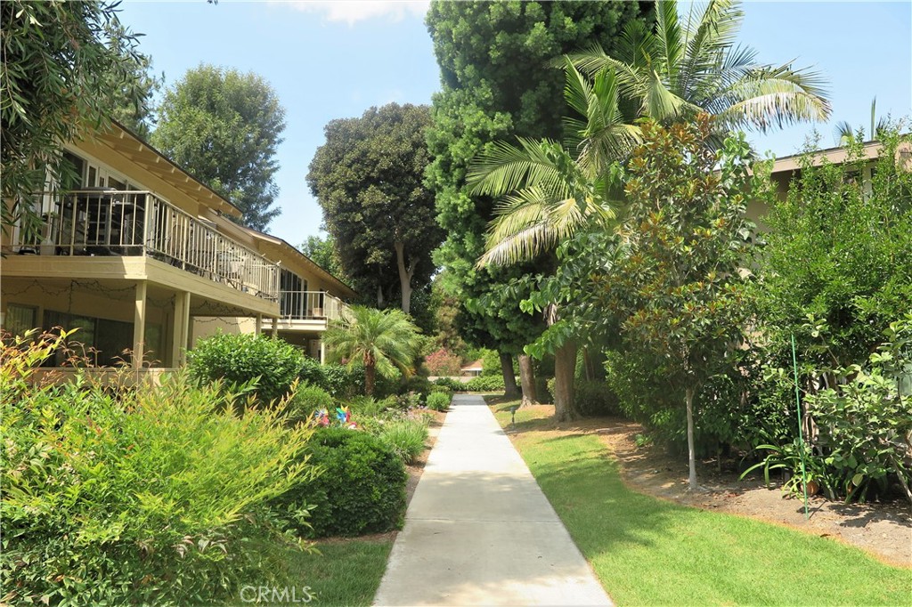 a view of yard with large trees and plants