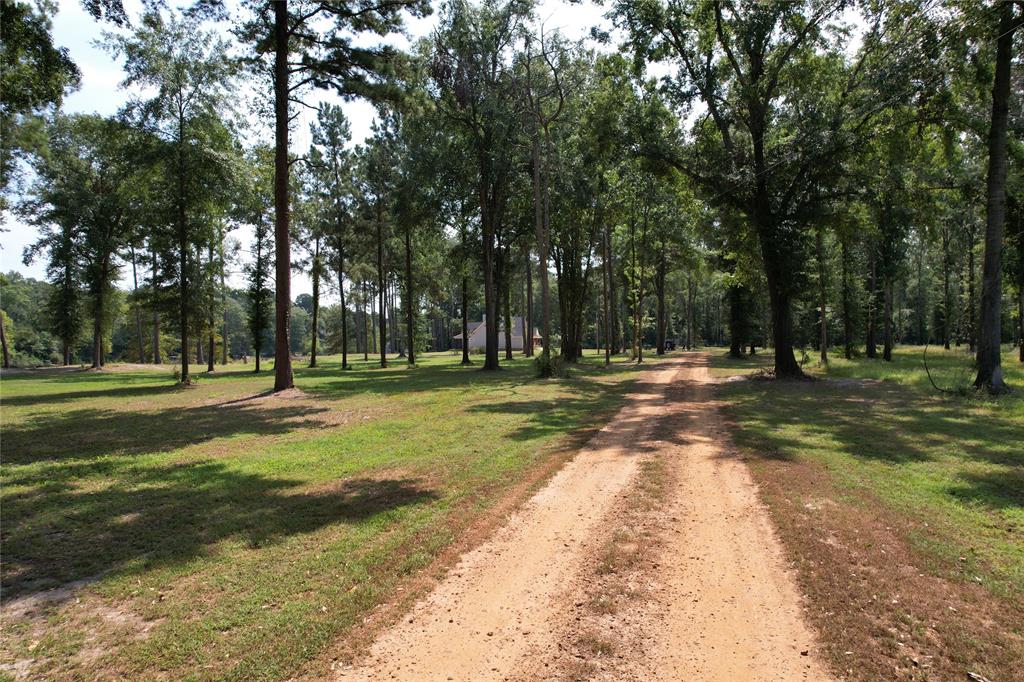 a view of a park with tree s