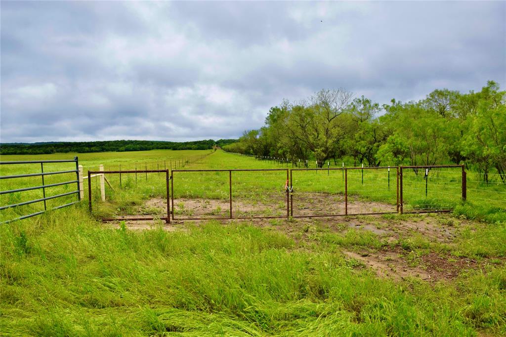 a view of a field with a view of trees in the background