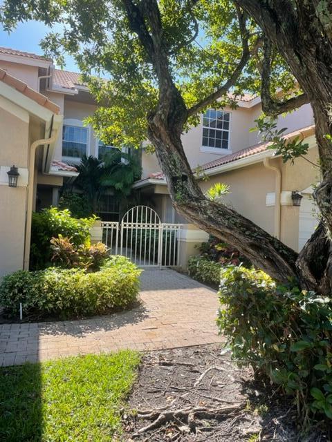 a view of a house with a small yard plants and a large tree