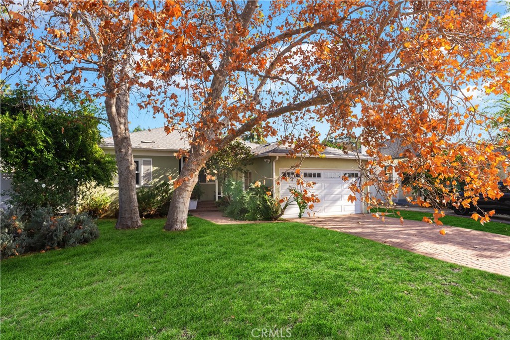 a view of a yard with a large tree