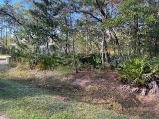 a view of a yard with plants and trees