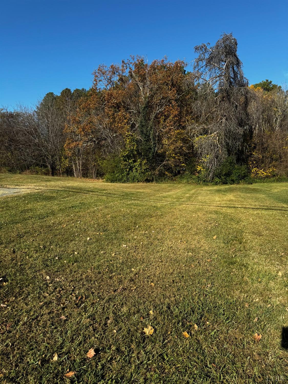 a view of a field with an ocean