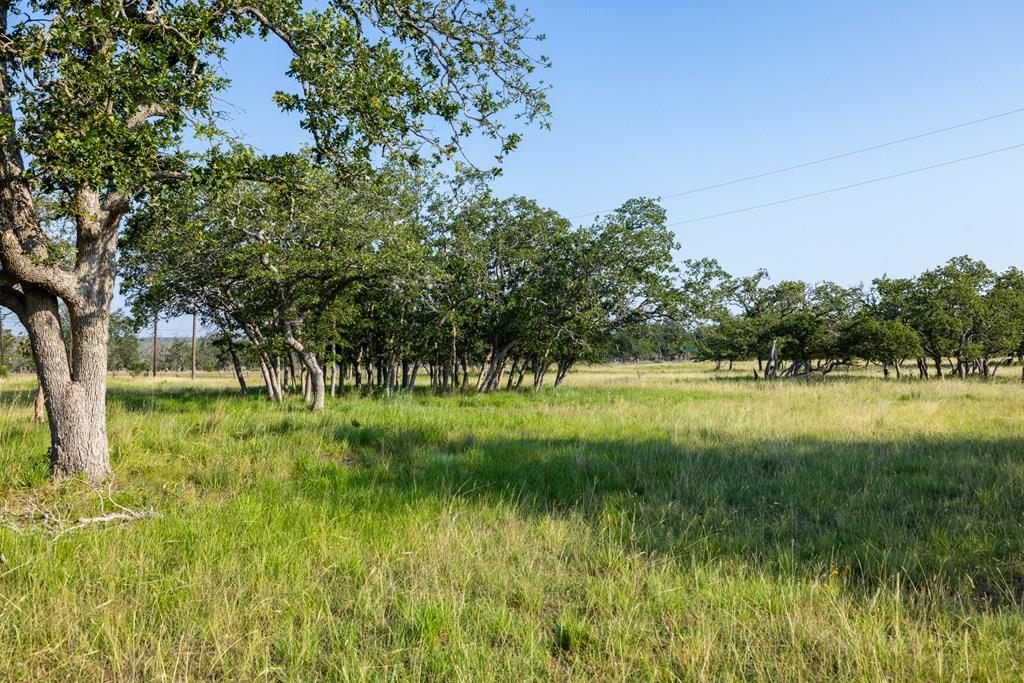 a view of outdoor space