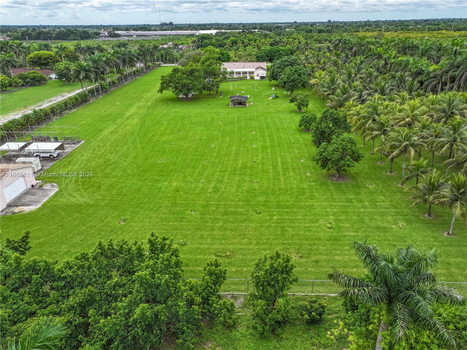 a green field with lots of green plants and trees around