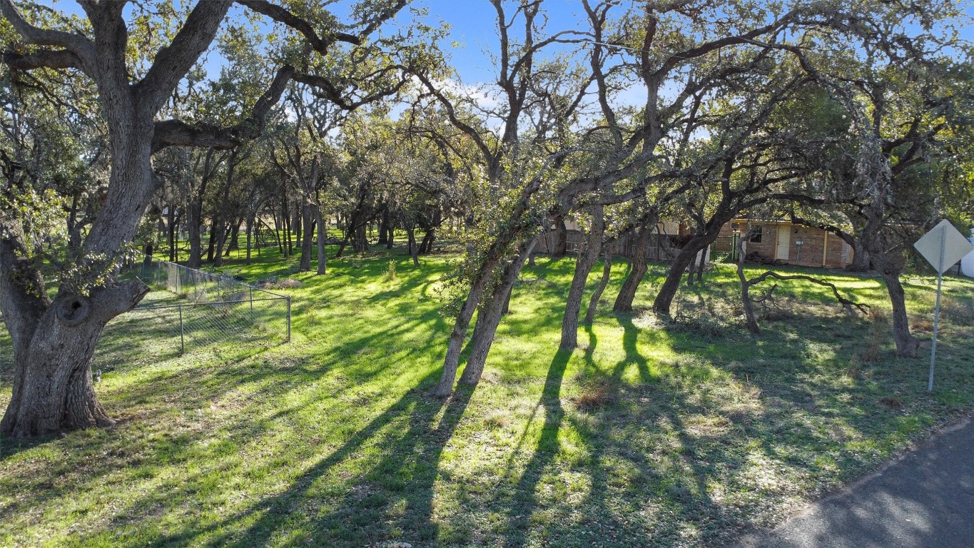 a yard with trees