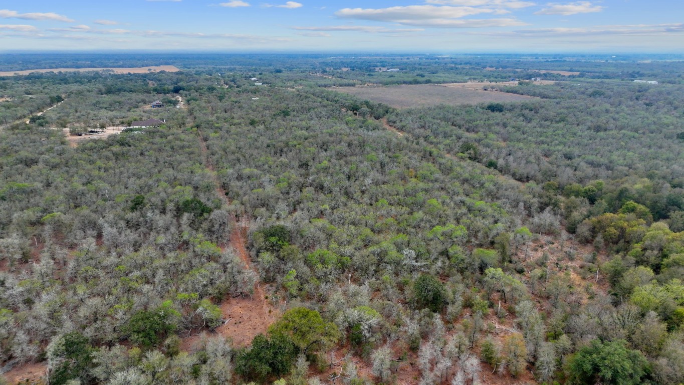 an aerial view of forest