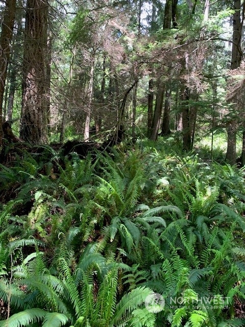 a view of outdoor space and green space