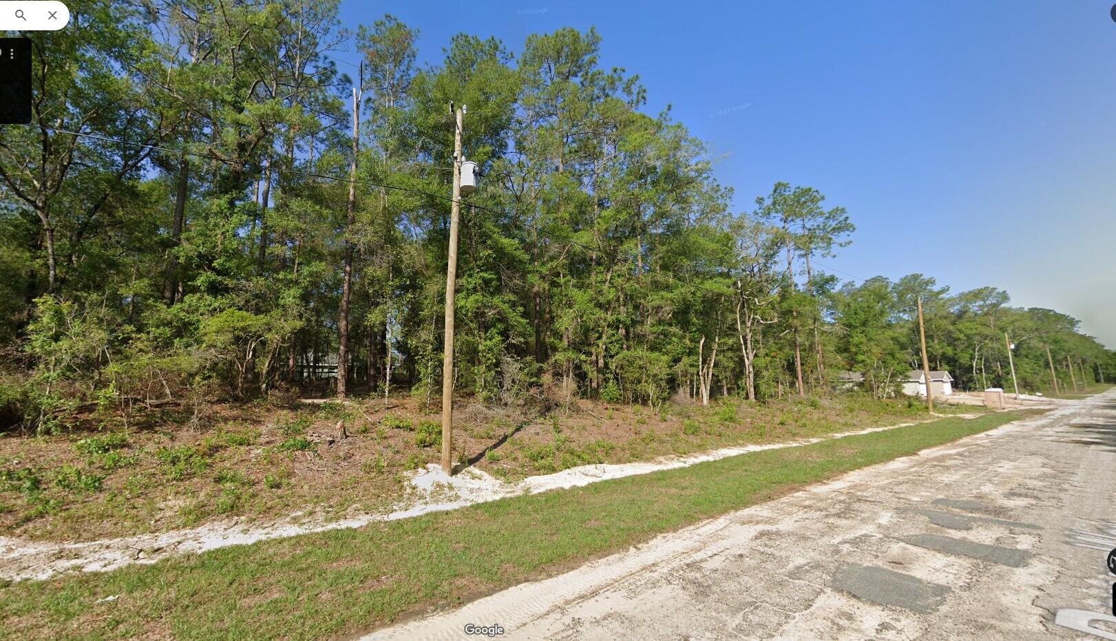 a view of a yard with plants and trees