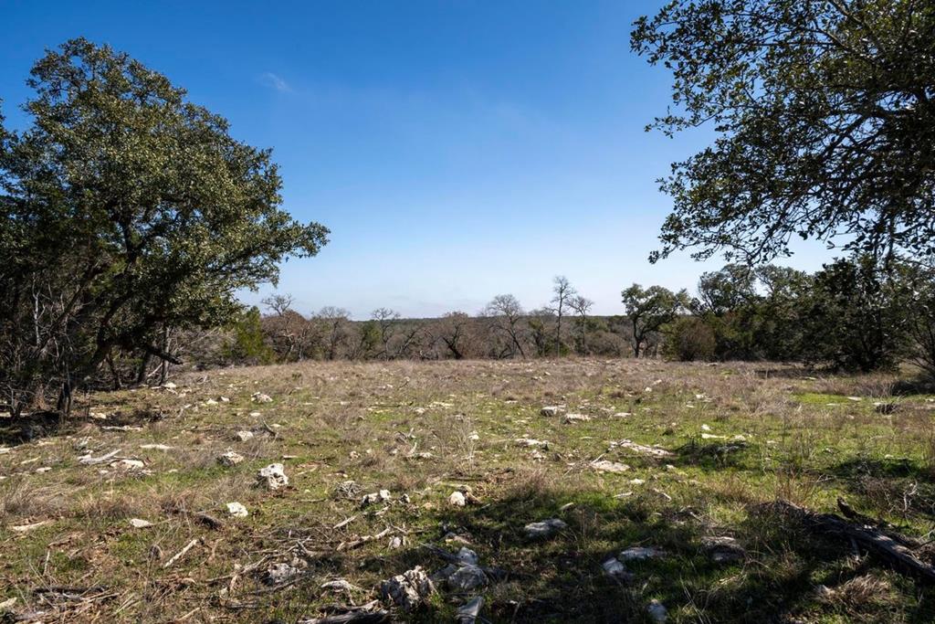 a view of a field with an trees