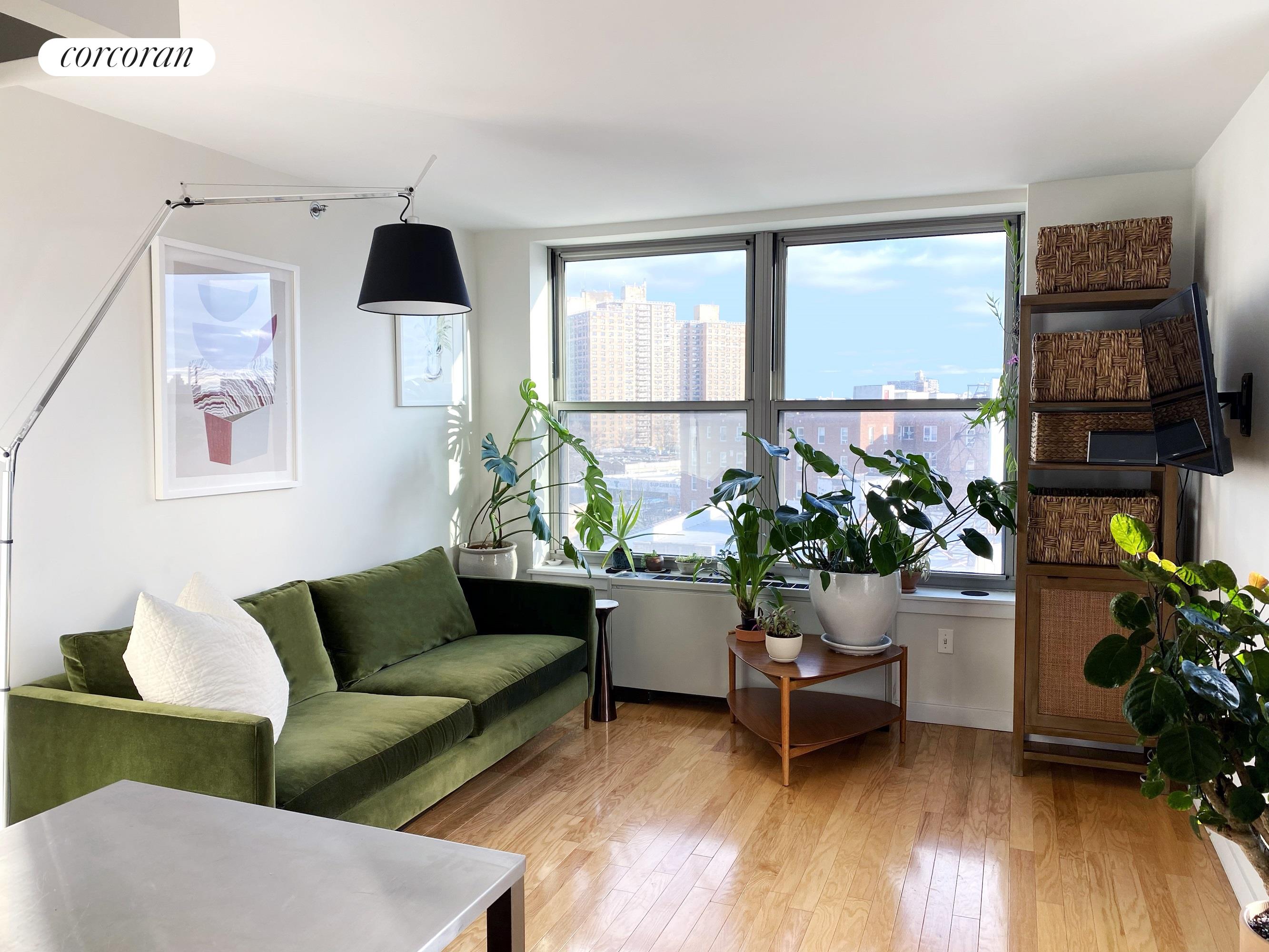 a living room with furniture and a potted plant