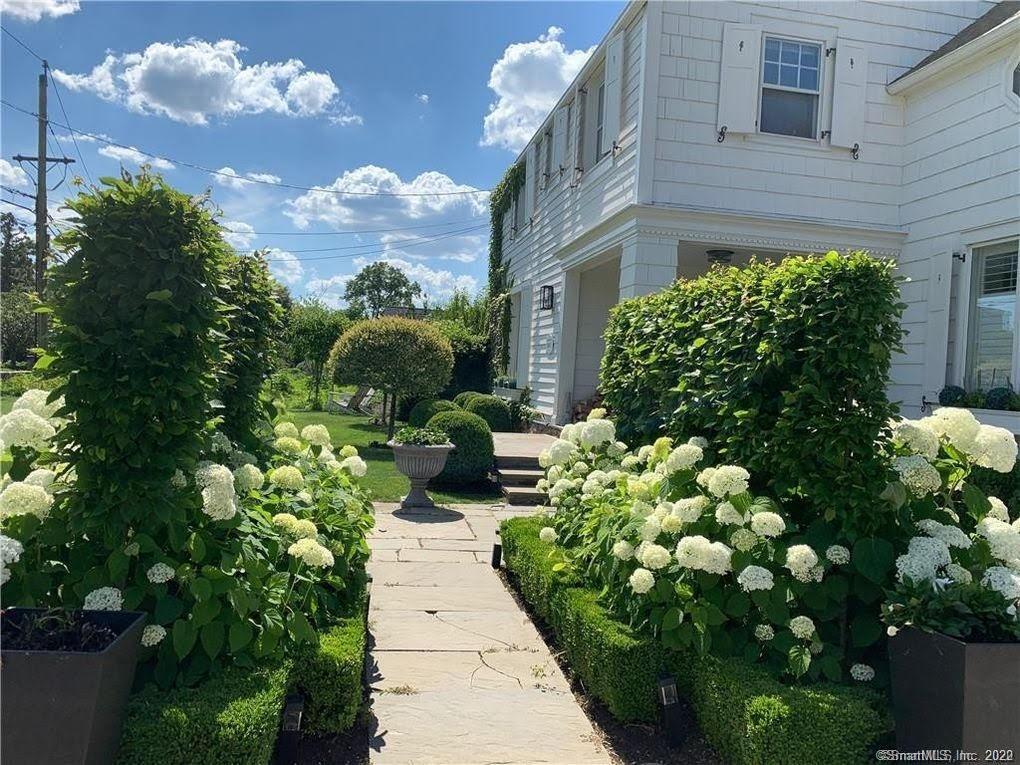 a view of a garden with plants and flowers