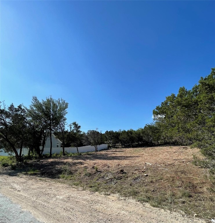 a view of a yard with a tree