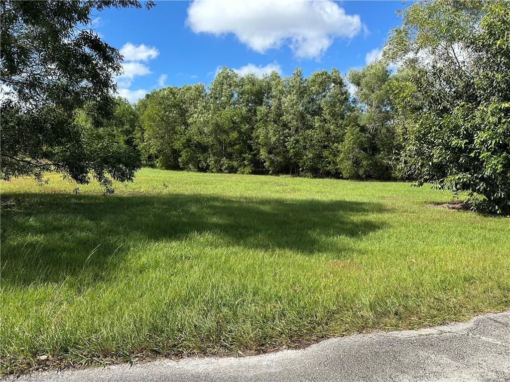 a view of a grassy field with trees