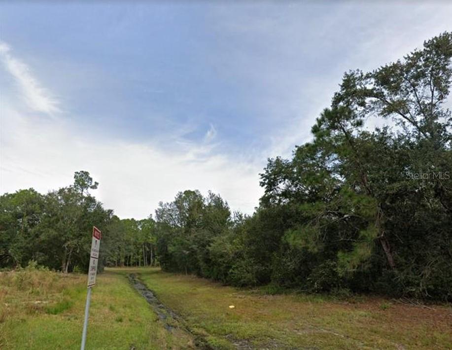 a view of a field with trees in the background