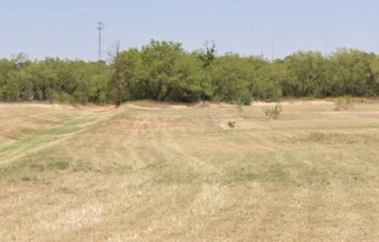 a view of a yard with trees in the background