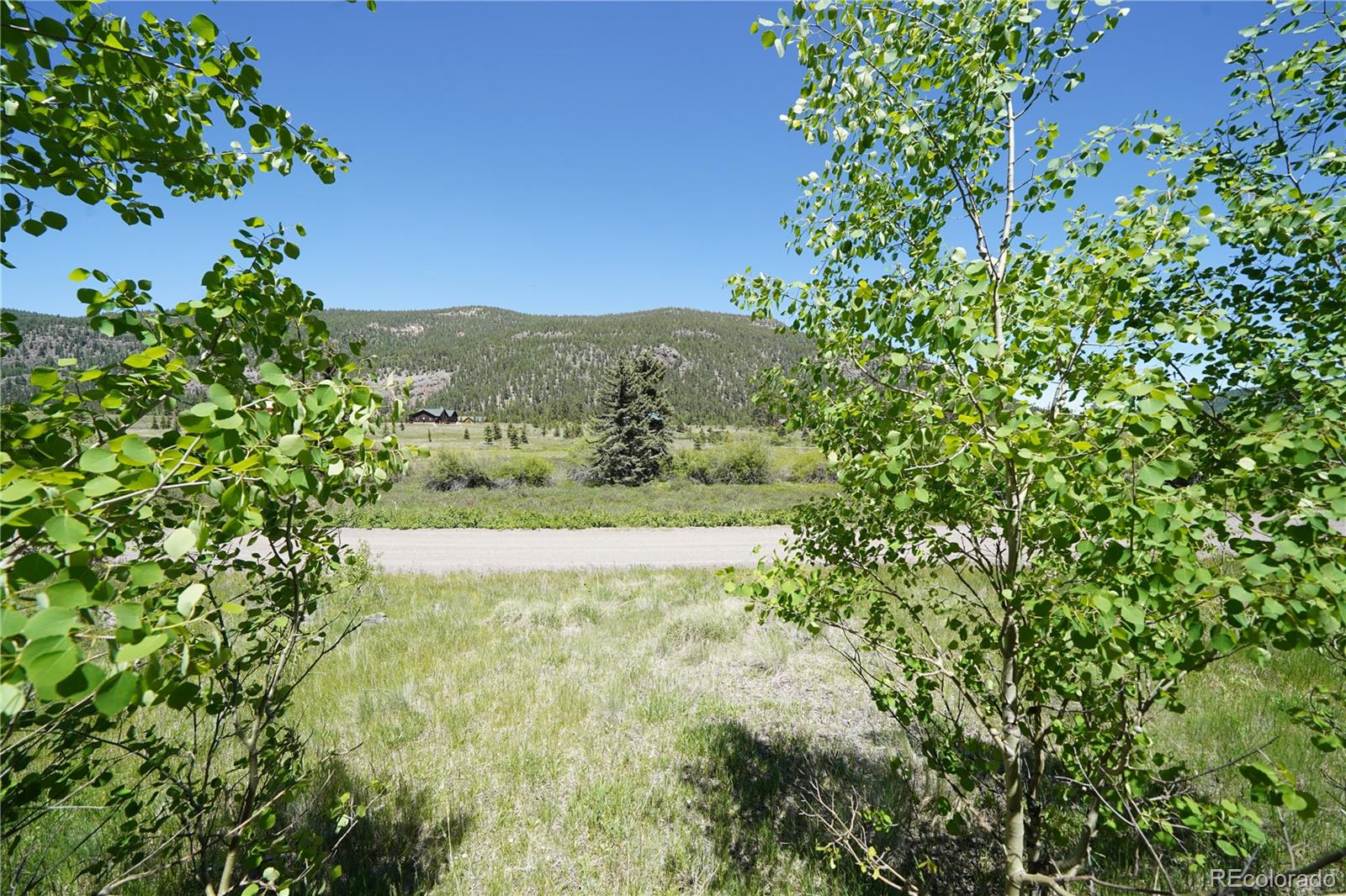 a view of a yard with a tree