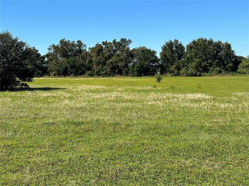 a view of a green field