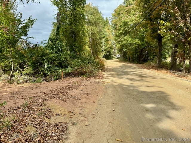 a view of a yard with trees