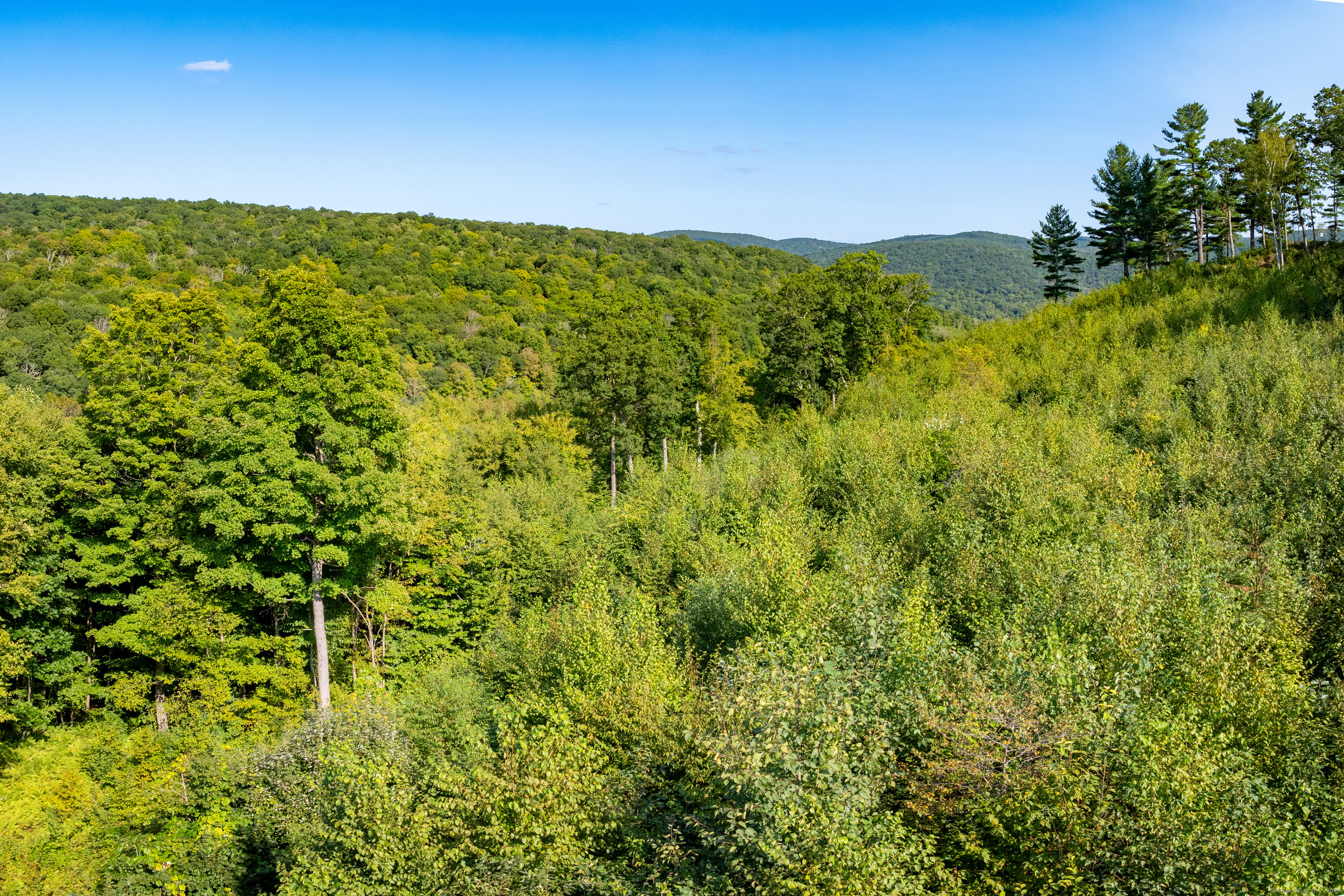 a view of a green field with lots of bushes