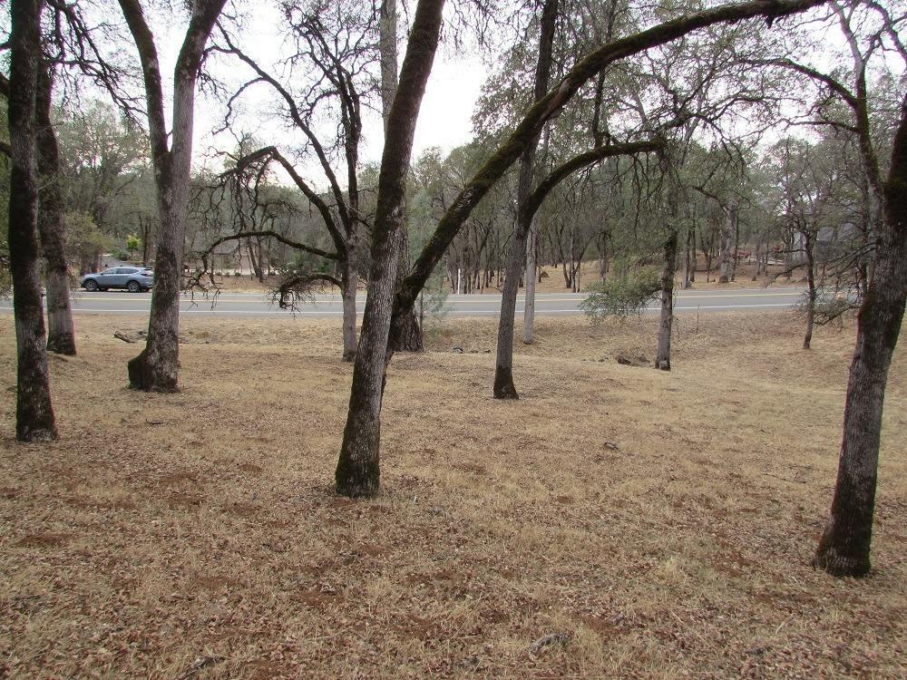 a view of empty space with trees