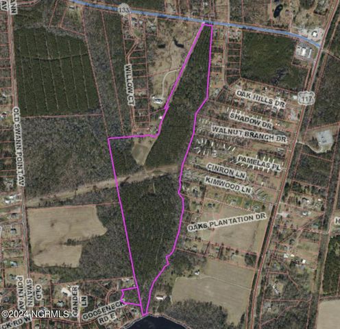 $1,300,000 | 0 Hwy 133 Rocky Point | Rocky Point Township - Pender County