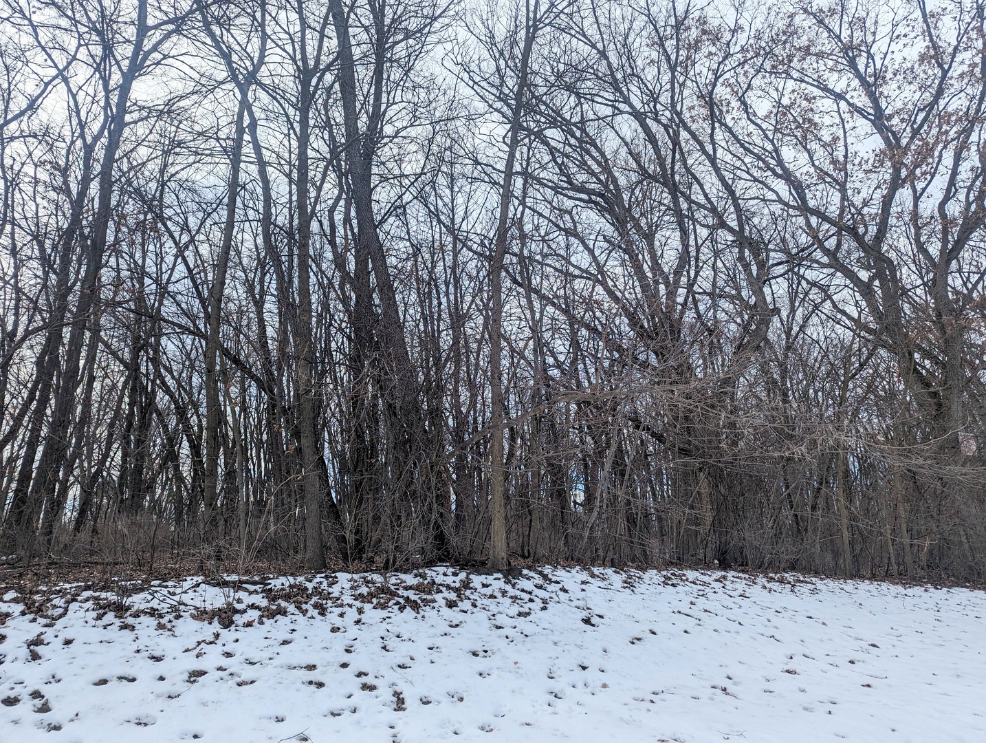 a yard covered with snow in front of house