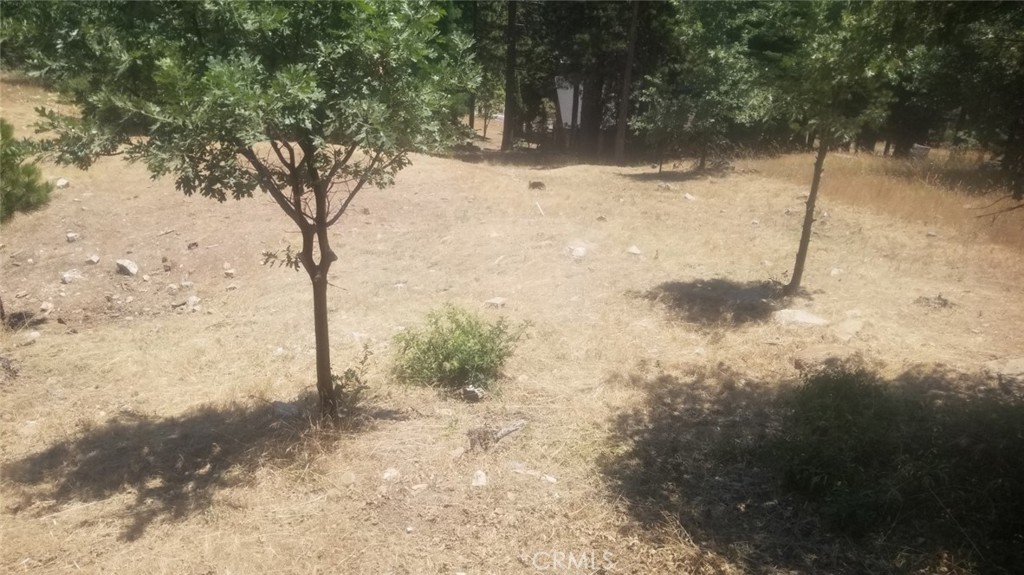 a view of a yard covered with snow in the background