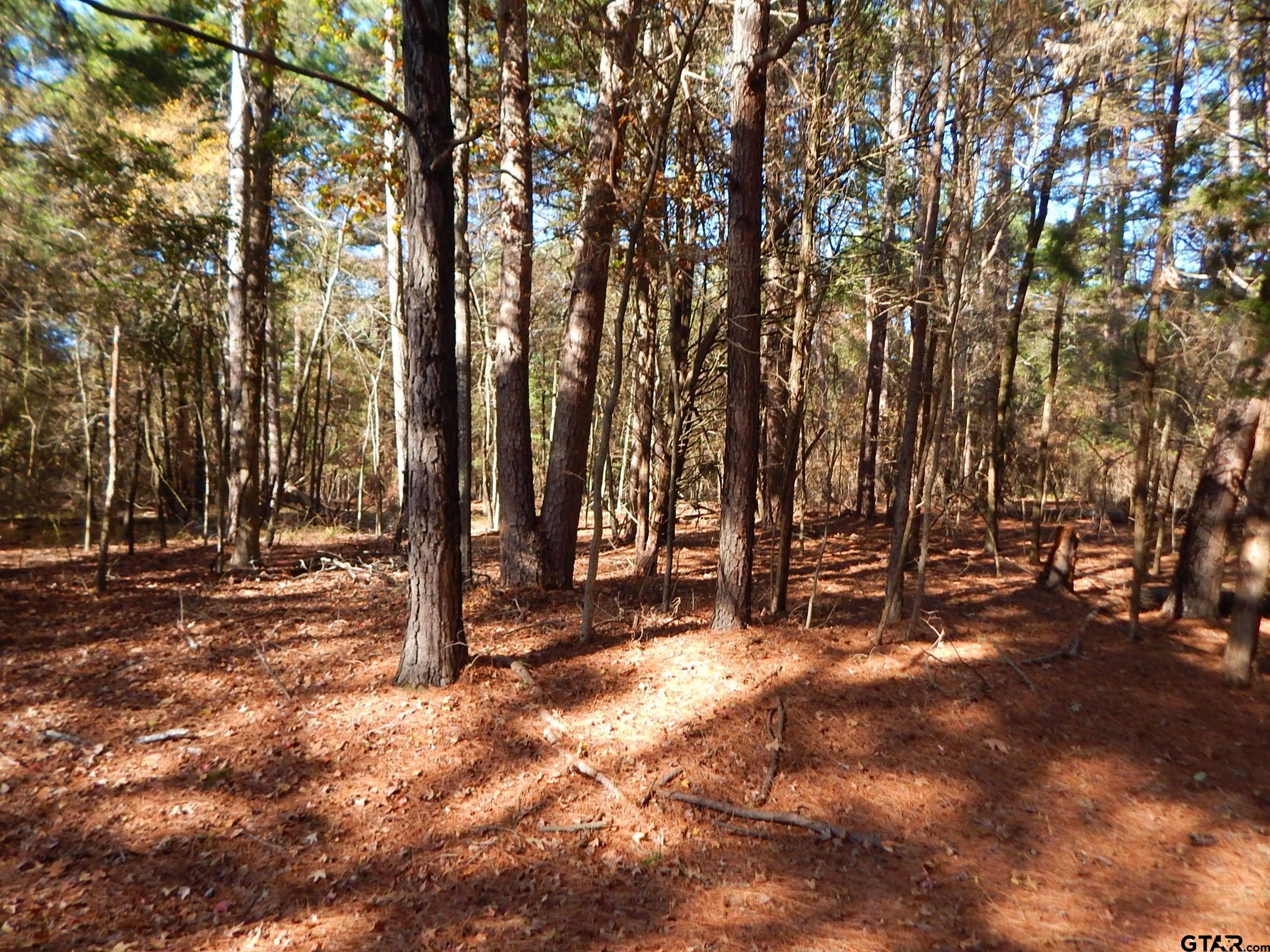 a view of outdoor space with trees